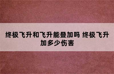 终极飞升和飞升能叠加吗 终极飞升加多少伤害